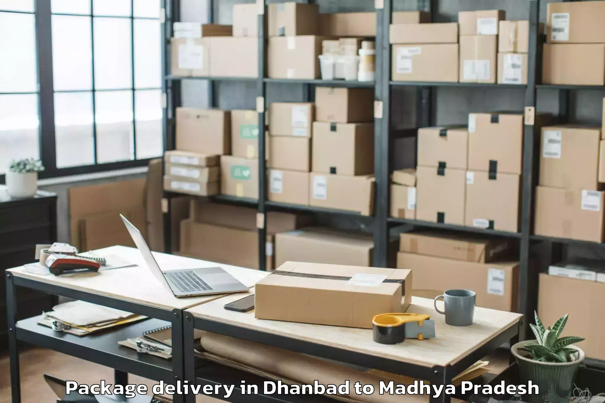 Professional Dhanbad to Jagran Lakecity University Bho Package Delivery